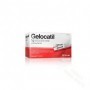 GELOCATIL 1 G SOLUCION ORAL,10 SOBRES